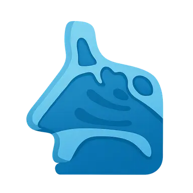 Anatomy of the Nose and Paranasal Sinuses