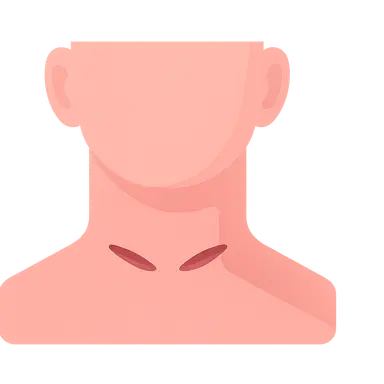 Surgical Approaches to the Neck