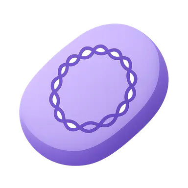 Bacterial Genome Organization