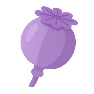 Pain management at end of life