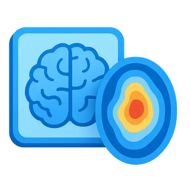 Integration of Functional and Anatomical Imaging