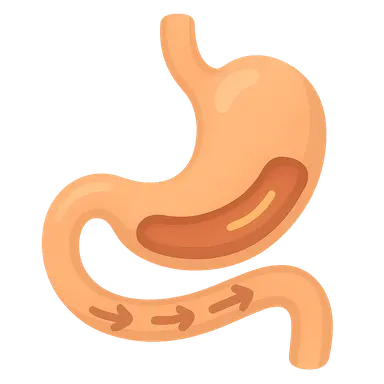 Gastrointestinal Motility