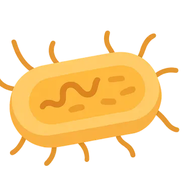 Bacterial metabolism