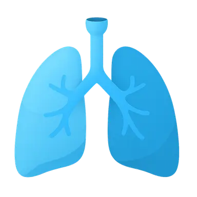 Functional Anatomy of Respiratory System