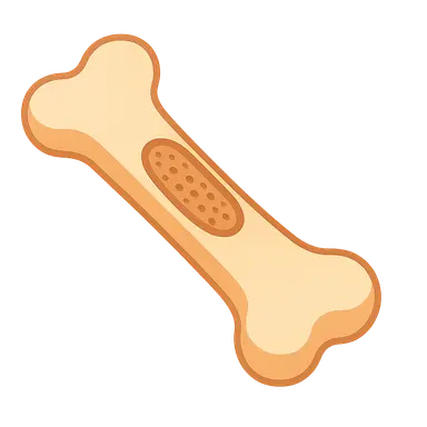 Bone Development and Growth