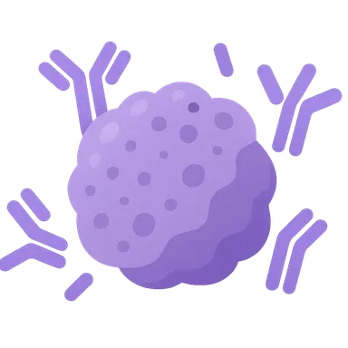Monoclonal antibodies in cancer