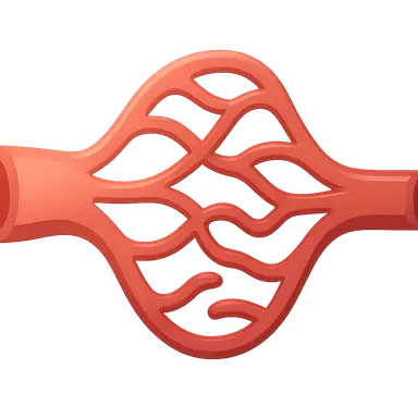 Microcirculation physiology
