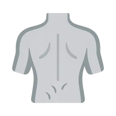 Applied Anatomy of the Back