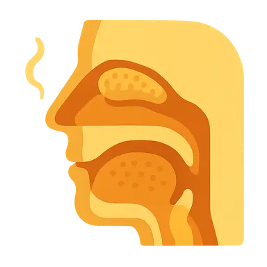 Physiology of Smell and Taste