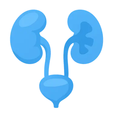 Obstructive uropathies