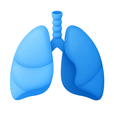 Respiratory Adjustments in Health and Disease