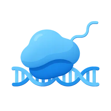 Initiation of transcription