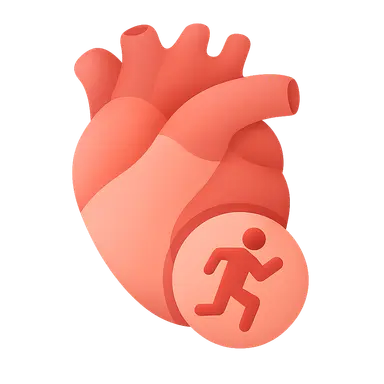 Cardiovascular responses to exercise