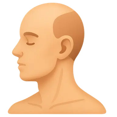 Head and neck surface landmarks
