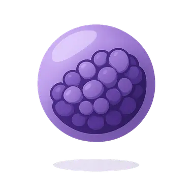 Sphingolipidoses (Tay-Sachs, Gaucher, Niemann-Pick)