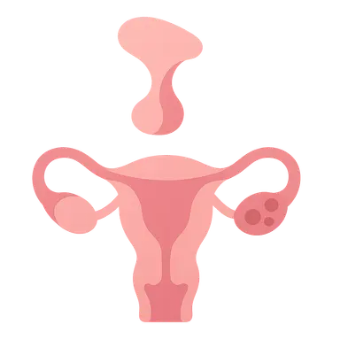 Hypothalamic-Pituitary-Ovarian Axis
