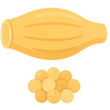 GSD type V (McArdle disease)