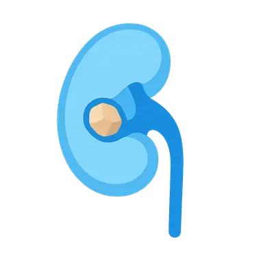 Kidney stone management