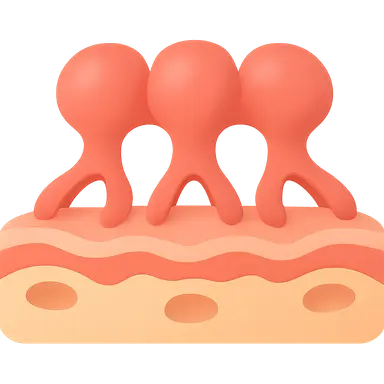 Filtration barrier components