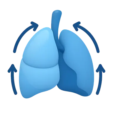 Elastic recoil of lung tissue