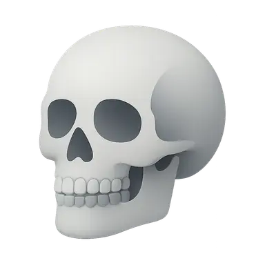 Age, Sex and Race Determination