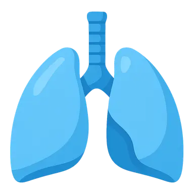 Respiratory Physiology