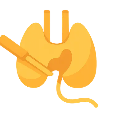 Recurrent laryngeal nerve protection