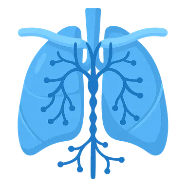 Thoracic Duct and Lymphatics