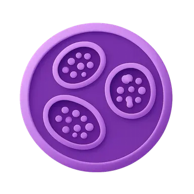 Lysosomal Storage Diseases