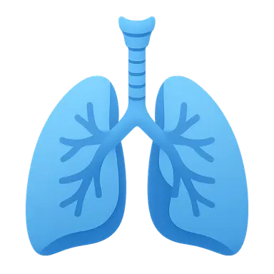 Respiratory system overview