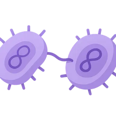 Bacterial Genetic Recombination