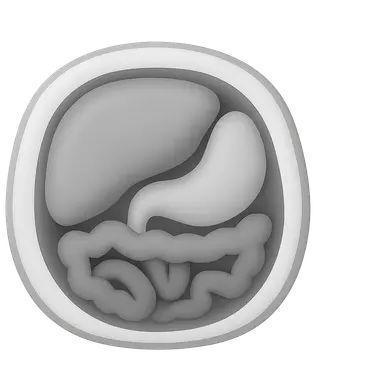 Upper abdominal cross-sections