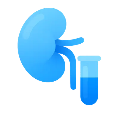 Renal Function Tests