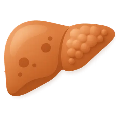 Biotransformation in Liver Disease