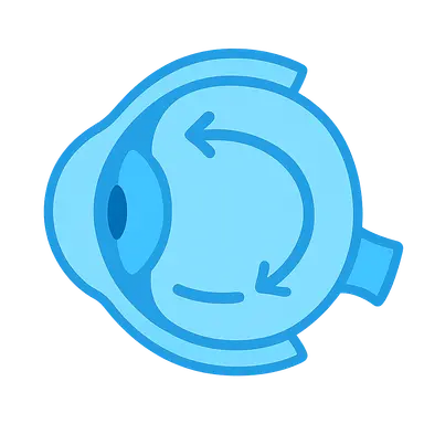 Aqueous Humor Dynamics