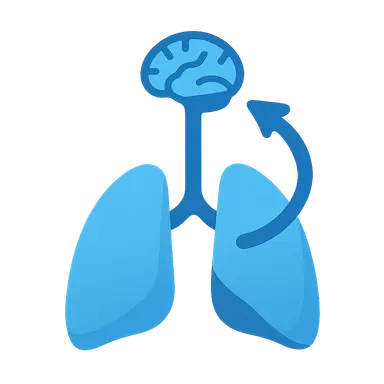 Respiratory regulation of acid-base