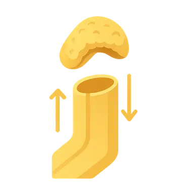Aldosterone actions on distal tubule