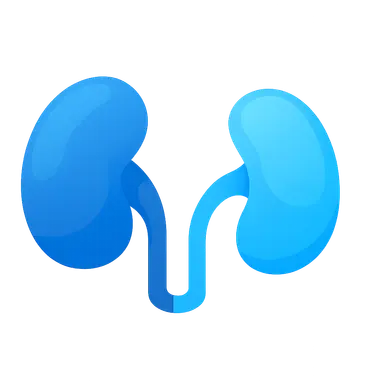 Kidney transplantation