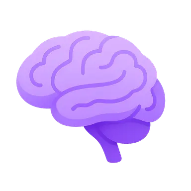Neuroanatomical Basis of Functions