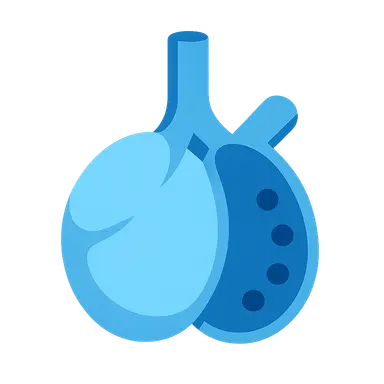 Alveolar dead space (high V/Q)