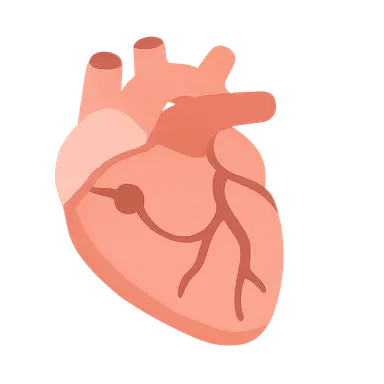 Basic electrophysiology
