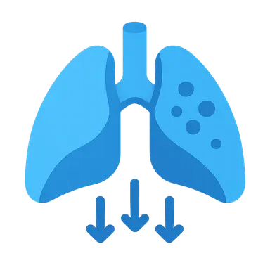 Hypoxemia mechanisms