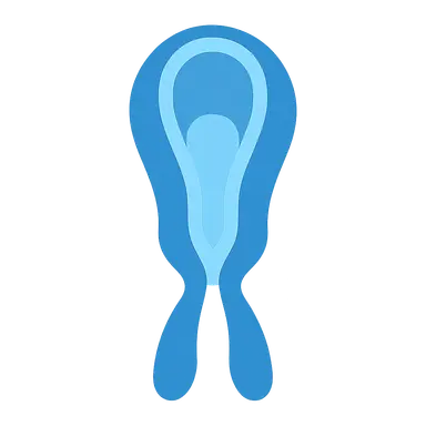 Neurulation and neural tube development