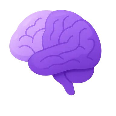 Cerebral cortex and lobes