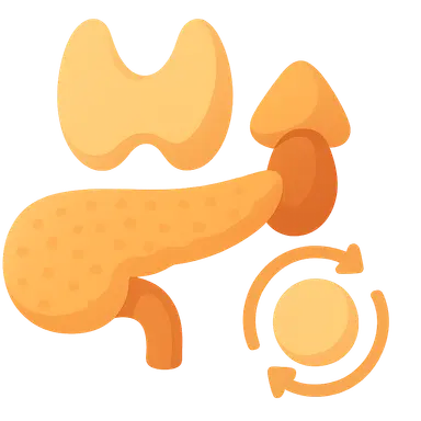 Glucose homeostasis mechanisms