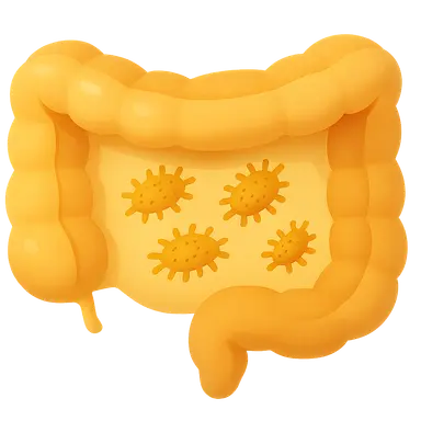 Intestinal infections