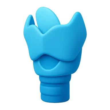 Anatomy of the Larynx