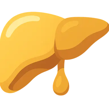 Bilirubin Metabolism and Jaundice