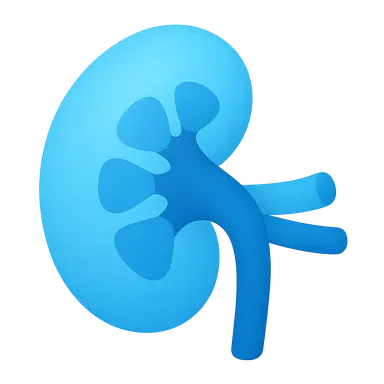 Metabolic alkalosis mechanisms and compensation