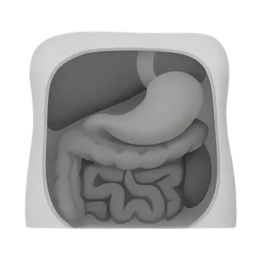Imaging of Peritoneal Cavity and Retroperitoneum